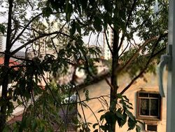 The Mornington (D12), Apartment #415189381